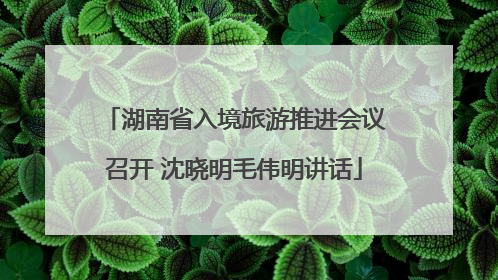 湖南省入境旅游推进会议召开 沈晓明毛伟明讲话