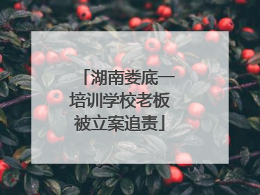 湖南娄底一培训学校老板被立案追责