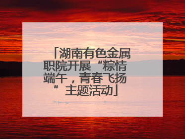 湖南有色金属职院开展“粽情端午，青春飞扬”主题活动