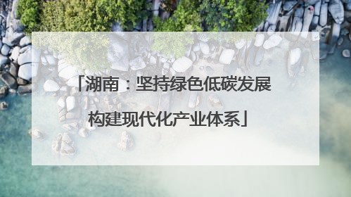 湖南：坚持绿色低碳发展 构建现代化产业体系