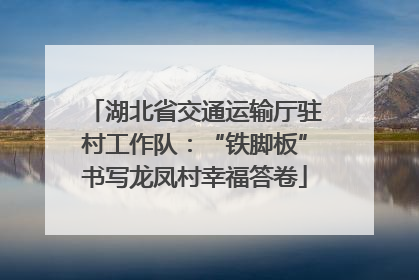 湖北省交通运输厅驻村工作队：“铁脚板”书写龙凤村幸福答卷