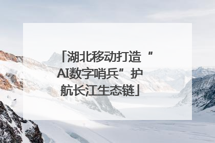 湖北移动打造“AI数字哨兵”护航长江生态链