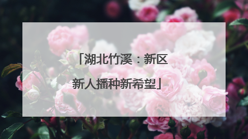 湖北竹溪：新区新人播种新希望