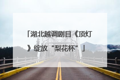 湖北越调剧目《顶灯》绽放“梨花杯”
