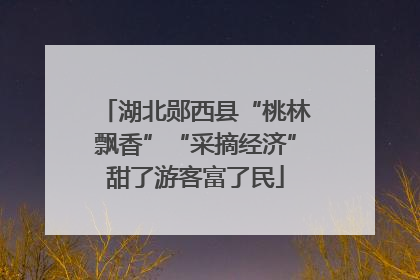 湖北郧西县“桃林飘香”“采摘经济”甜了游客富了民