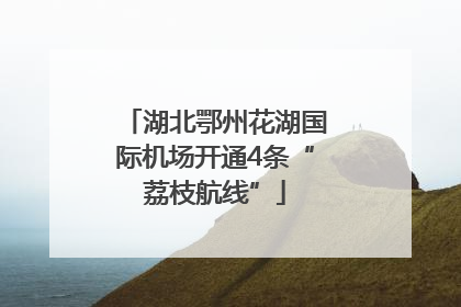 湖北鄂州花湖国际机场开通4条“荔枝航线”