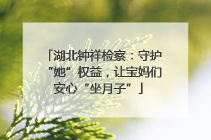 湖北钟祥检察：守护“她”权益，让宝妈们安心“坐月子”