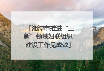 湘潭市推进“三新”领域妇联组织建设工作见成效