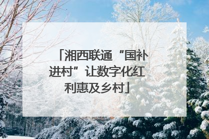 湘西联通“国补进村”让数字化红利惠及乡村