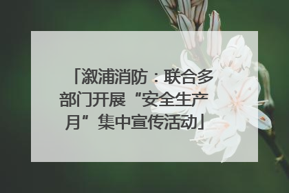 溆浦消防：联合多部门开展“安全生产月”集中宣传活动