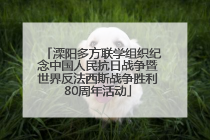 溧阳多方联学组织纪念中国人民抗日战争暨世界反法西斯战争胜利80周年活动