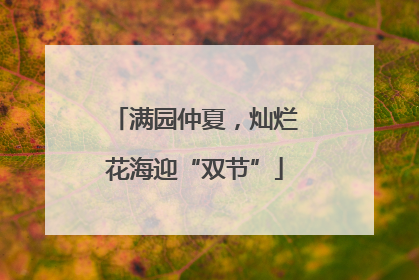 满园仲夏，灿烂花海迎“双节”