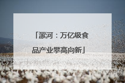 漯河：万亿级食品产业攀高向新