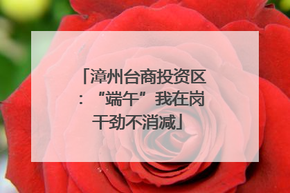 漳州台商投资区：“端午”我在岗 干劲不消减