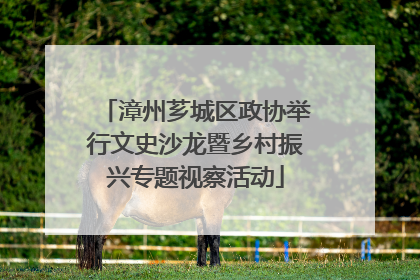 漳州芗城区政协举行文史沙龙暨乡村振兴专题视察活动