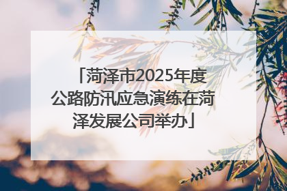 菏泽市2025年度公路防汛应急演练在菏泽发展公司举办