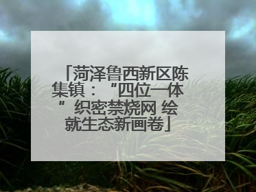 菏泽鲁西新区陈集镇：“四位一体”织密禁烧网 绘就生态新画卷