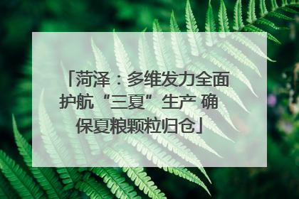 菏泽：多维发力全面护航“三夏”生产 确保夏粮颗粒归仓