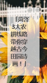 菏泽3大农耕线路带你穿越古今田园诗画！