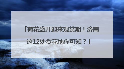 荷花盛开迎来观赏期！济南这12处赏花地你可知？