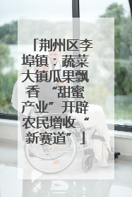 荆州区李埠镇：蔬菜大镇瓜果飘香 “甜蜜产业”开辟农民增收“新赛道”