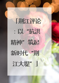 荆江评论：以“抗洪精神”筑起新时代“荆江大堤”