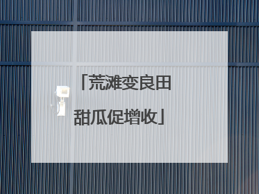 荒滩变良田 甜瓜促增收