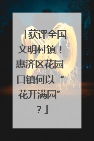 获评全国文明村镇！惠济区花园口镇何以“花开满园”？