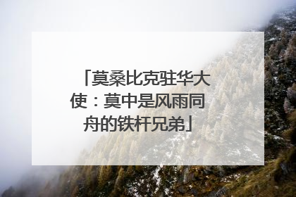 莫桑比克驻华大使：莫中是风雨同舟的铁杆兄弟