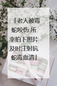 老人被毒蛇咬伤 所幸拍下照片及时注射抗蛇毒血清