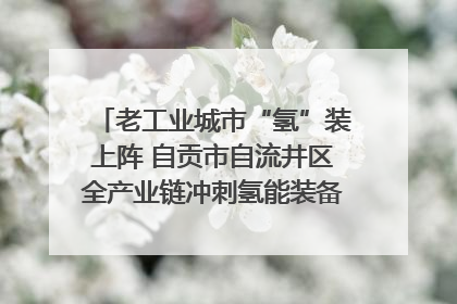 老工业城市“氢”装上阵 自贡市自流井区全产业链冲刺氢能装备制造新高地｜美好生活有“盐”味