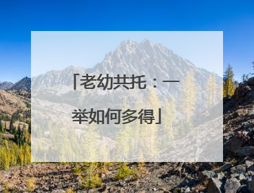 老幼共托：一举如何多得