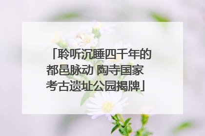 聆听沉睡四千年的都邑脉动 陶寺国家考古遗址公园揭牌