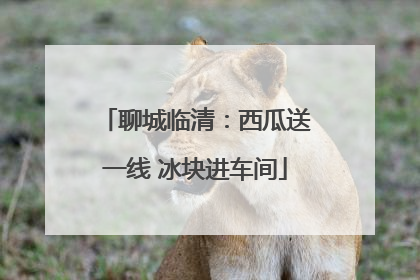 聊城临清：西瓜送一线 冰块进车间