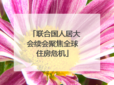 联合国人居大会续会聚焦全球住房危机