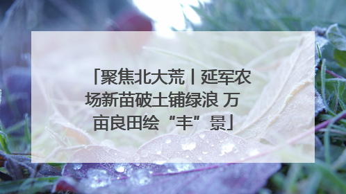 聚焦北大荒丨延军农场新苗破土铺绿浪 万亩良田绘“丰”景
