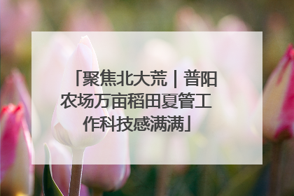 聚焦北大荒｜普阳农场万亩稻田夏管工作科技感满满