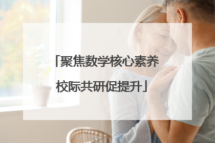 聚焦数学核心素养 校际共研促提升
