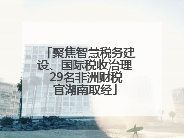 聚焦智慧税务建设、国际税收治理 29名非洲财税官湖南取经