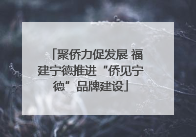 聚侨力促发展 福建宁德推进“侨见宁德”品牌建设