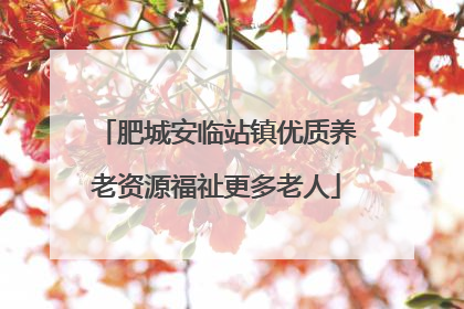 肥城安临站镇优质养老资源福祉更多老人