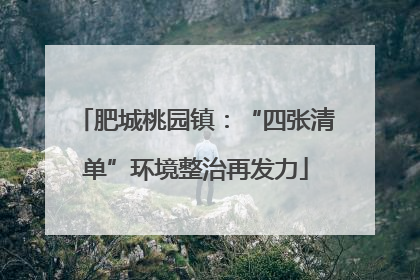 肥城桃园镇：“四张清单”环境整治再发力