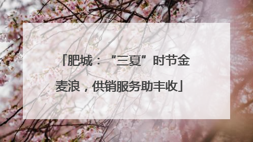 肥城：“三夏”时节金麦浪，供销服务助丰收
