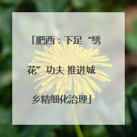 肥西：下足“绣花”功夫 推进城乡精细化治理