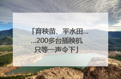 育秧苗、平水田……200多台插秧机只等一声令下