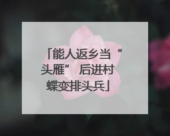 能人返乡当“头雁” 后进村蝶变排头兵