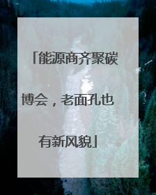 能源商齐聚碳博会，老面孔也有新风貌