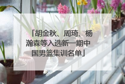 胡金秋、周琦、杨瀚森等入选新一期中国男篮集训名单