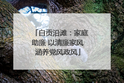 自贡沿滩：家庭助廉 以清廉家风涵养党风政风