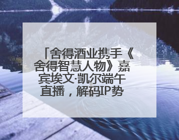 舍得酒业携手《舍得智慧人物》嘉宾埃文·凯尔端午直播，解码IP势能转化市场销量的有效路径